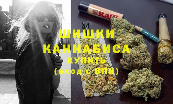 гидропоника Алзамай