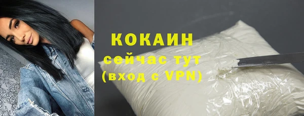 трава Няндома
