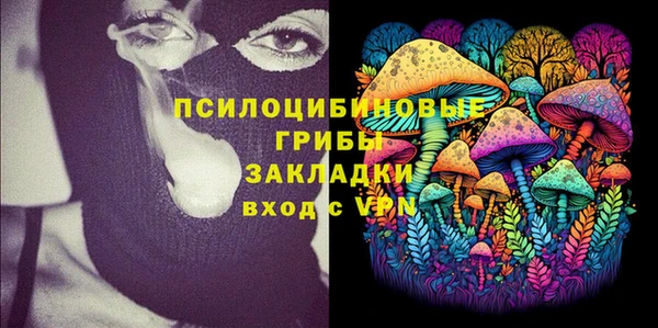 гидропоника Алзамай