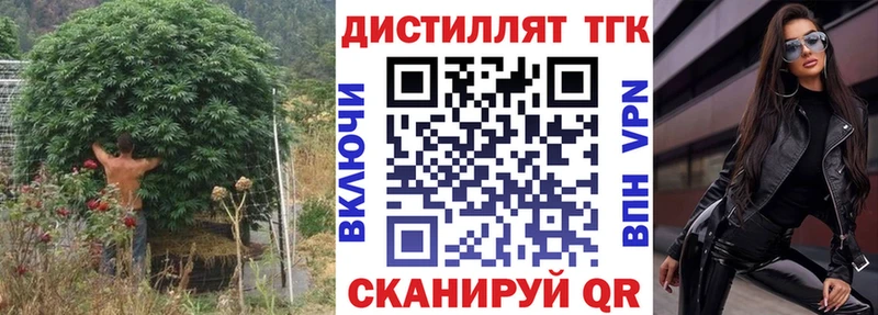 MEGA   Североморск  ТГК концентрат 