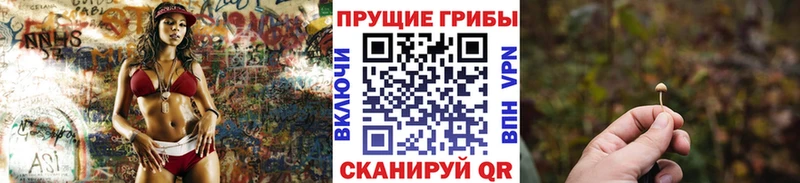 Псилоцибиновые грибы Magic Shrooms  Североморск 
